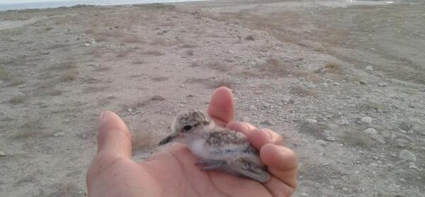 عکس نوشته سالگرد ازدواج برادرزاده