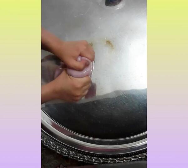 عکس اسلایم گلبهی