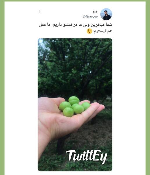 عکس های مورد توییتر