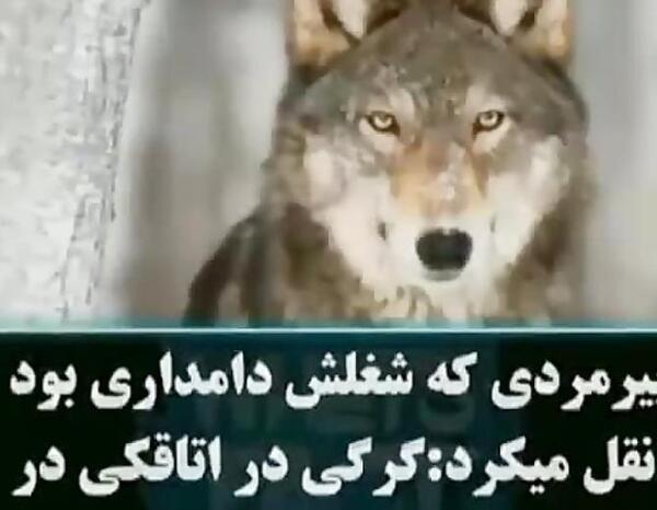 عکس نوشته زن بد ذات