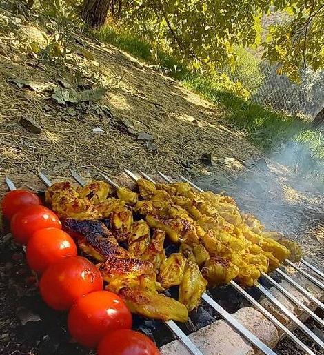عکس جوجه کباب