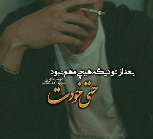 عکس خرگوش حیوان خانگی