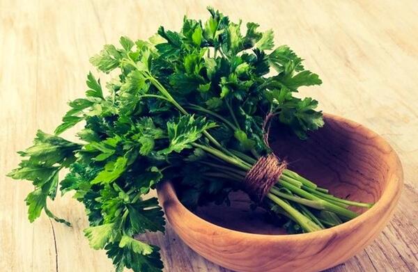 عکس ساجده جعفری
