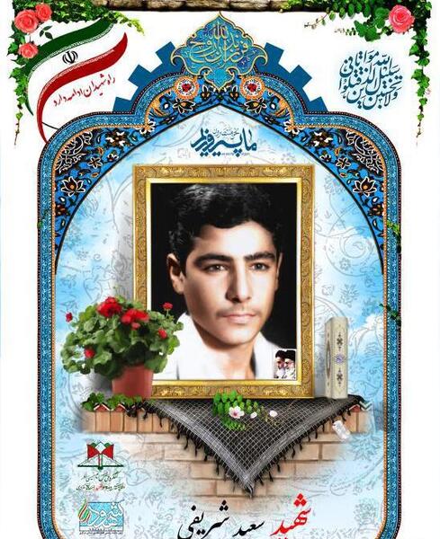 عکس سعید شریفی