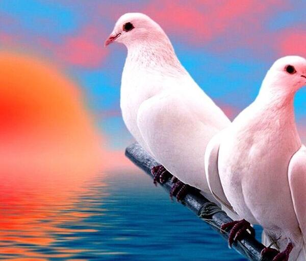 عکس روز آدینه بخیر
