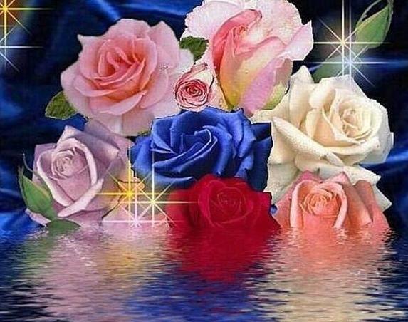عکس تصاویر گلهای زیبای رنگارنگ