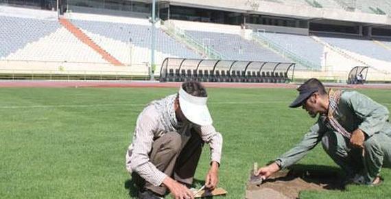 عکس زمین چمن آزادی