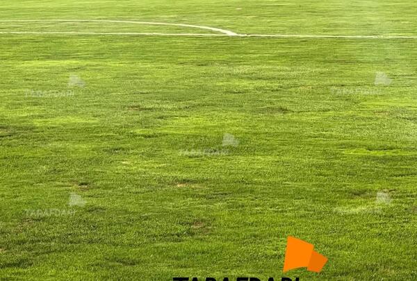 عکس زمین چمن آزادی