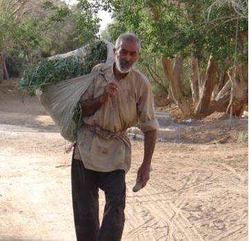 عکس ستاره ی سها
