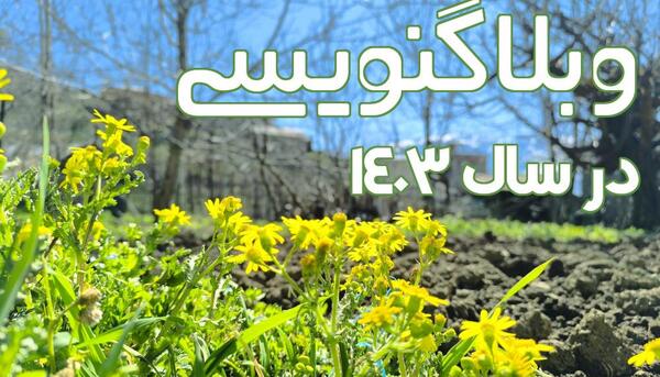عکس انیمه آکادمی قهرمان من