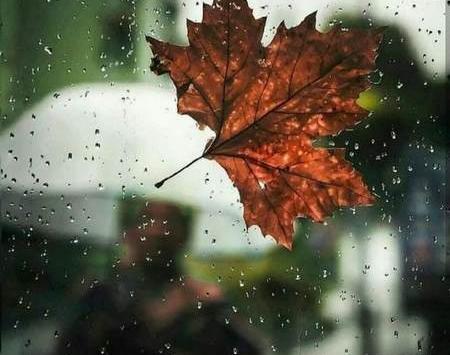 عکس پروفایل پا دونفره