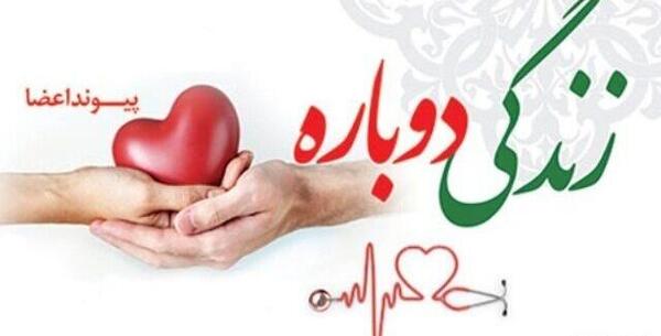 عکس دانیال کودک سبزواری