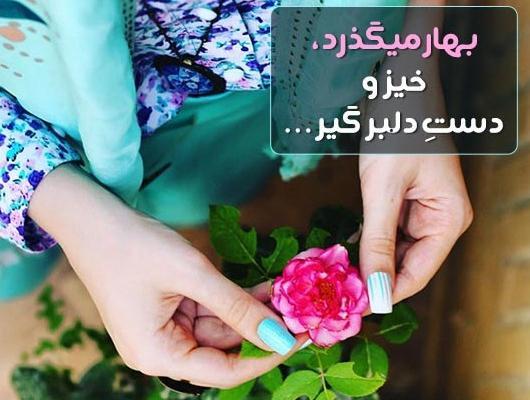 عکس نوشته بهار رسید