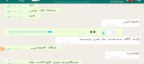 عکس شماره مومو در واتساپ