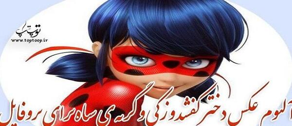 عکس ضریح زیبا