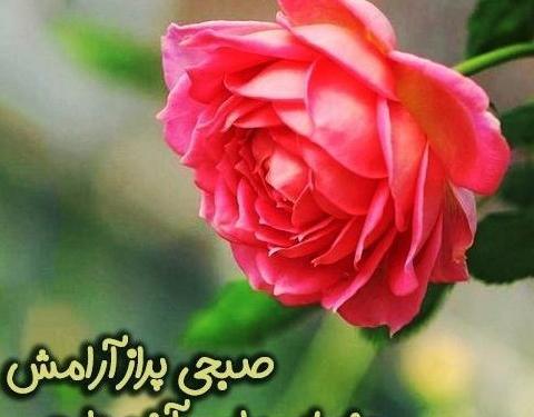 عکس تبریک صبح