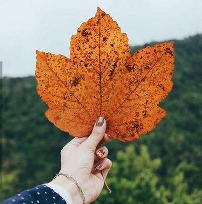 عکس پروفایل دخترونه واتساپ بدون متن