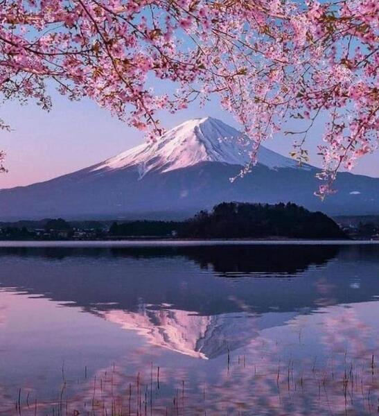عکس دیدنی ژاپن