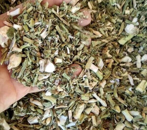 عکس گیاه بن سرخ