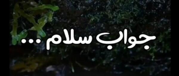 عکس نوشته اعتماد نکردن به دوست