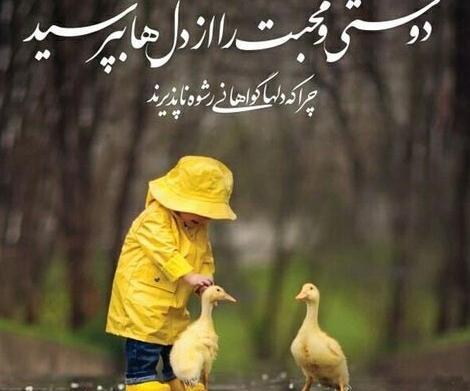 عکس نوشته اعتماد نکردن به دوست