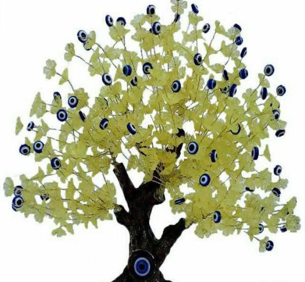 عکس درختچه های تزیینی چشم نظر