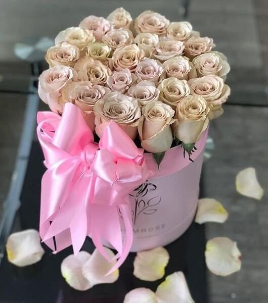 عکس درختچه های تزیینی چشم نظر