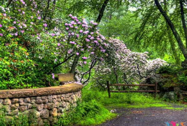 عکس نوشته اگر روزی دلت لبریز غم بود