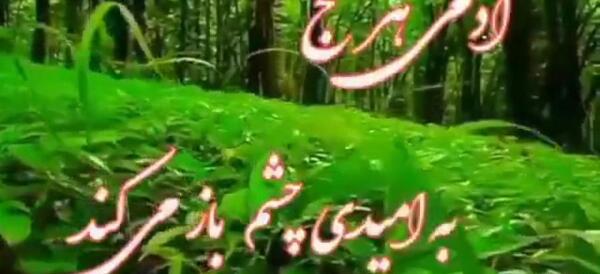 عکس صبح عشقم