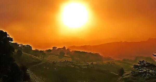 عکس از طبیعت غروب