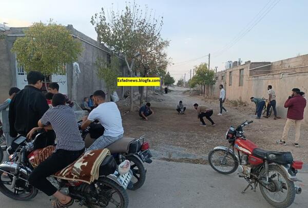 عکس مزرعه کلم بروکلی