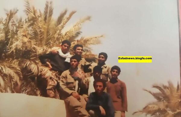 عکس مزرعه کلم بروکلی