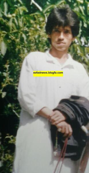 عکس مزرعه کلم بروکلی