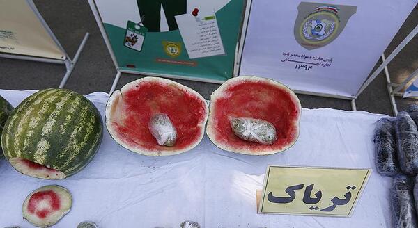 عکس ساقه تریاک