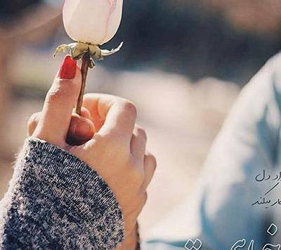 عکس گلهای عاشقانه خاص