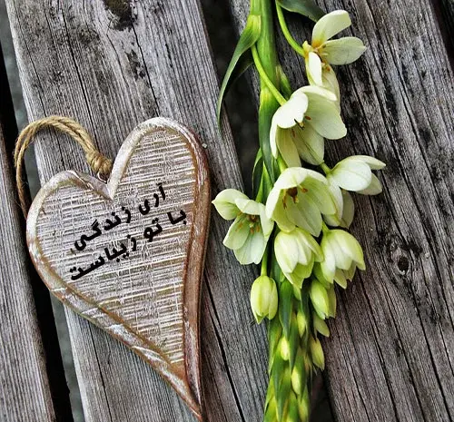 عکس گلهای عاشقانه خاص