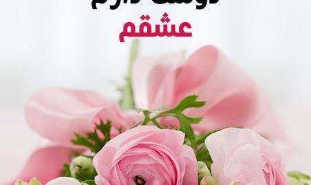 عکس گلهای عاشقانه خاص