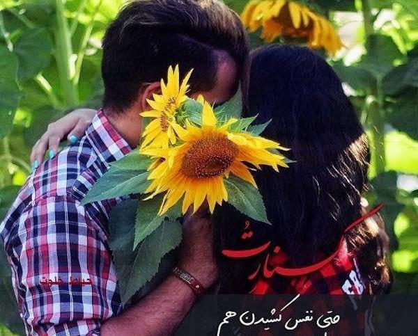 عکس گلهای عاشقانه خاص