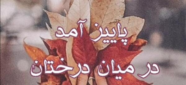عکس استوری پاییز آمد
