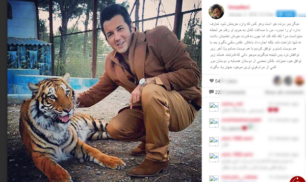 عکس ببر درنده