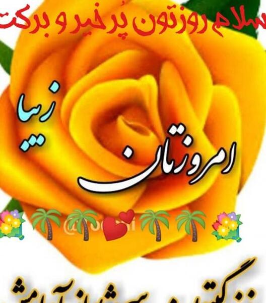 عکس استوری ظهر بخیر