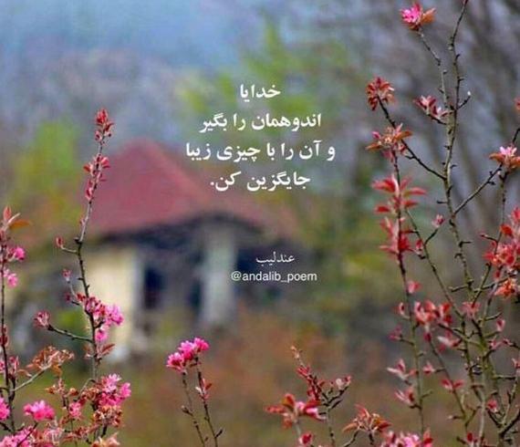 عکس برای استوری نی نی سایت