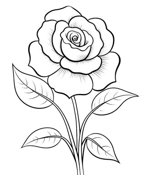 عکس نقاشی گل مرحله به مرحله