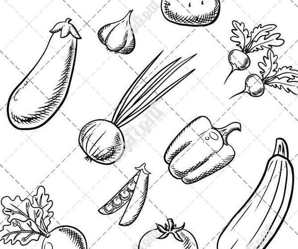 عکس طراحی ظرف میوه با مداد