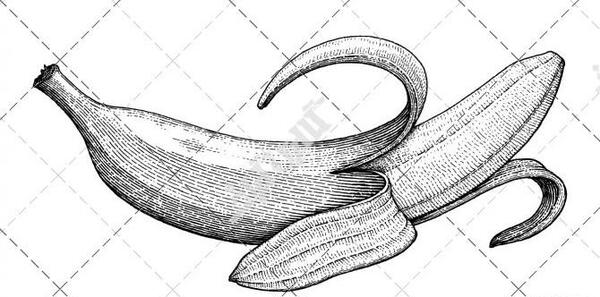 عکس طراحی ظرف میوه با مداد