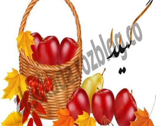 عکس نوشته ی گیلدا