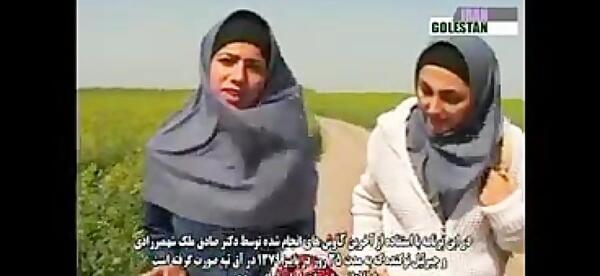 عکس گورستان خالد نبی گلستان