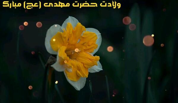 عکس استیکر حاضری