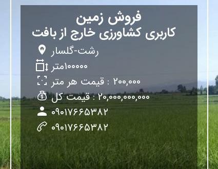 عکس زمین شالیزار