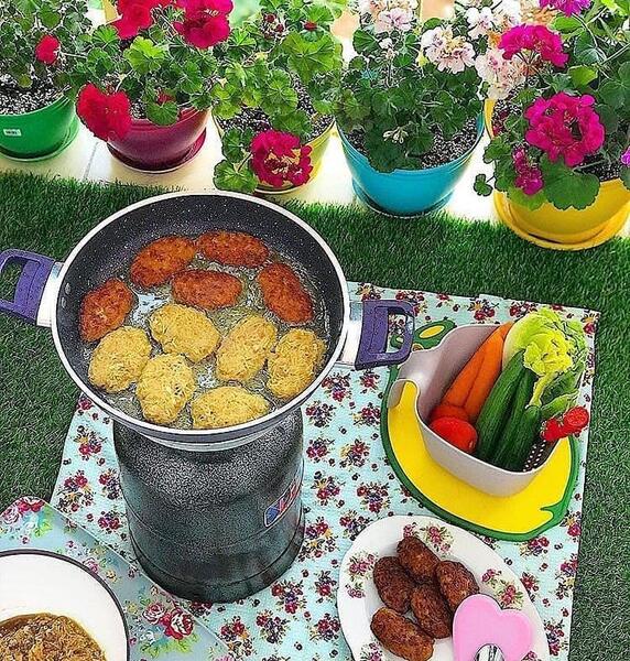 عکس غذا ویسگون